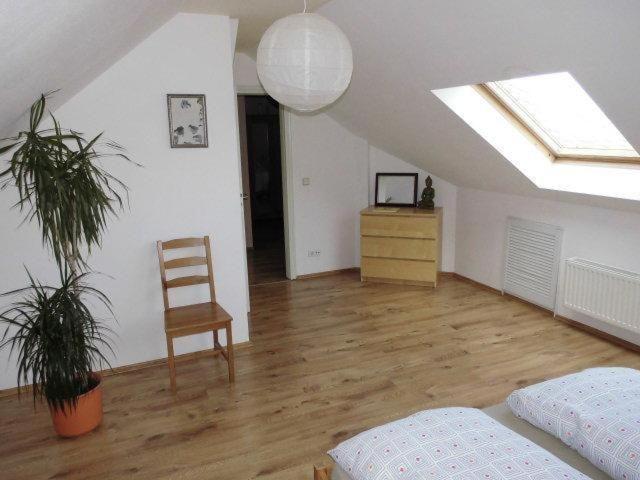 Sehr-Schoene-4-Raum-Maisonette-Fewo-Mit-110Qm-Balkon-Zentral-Preiswert-T7 Dresden Bagian luar foto